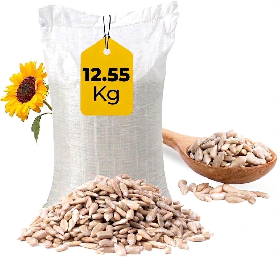 Premium Sunflower Heart Seeds Wild Bird Food – High Energy, No Mess Bird Feed