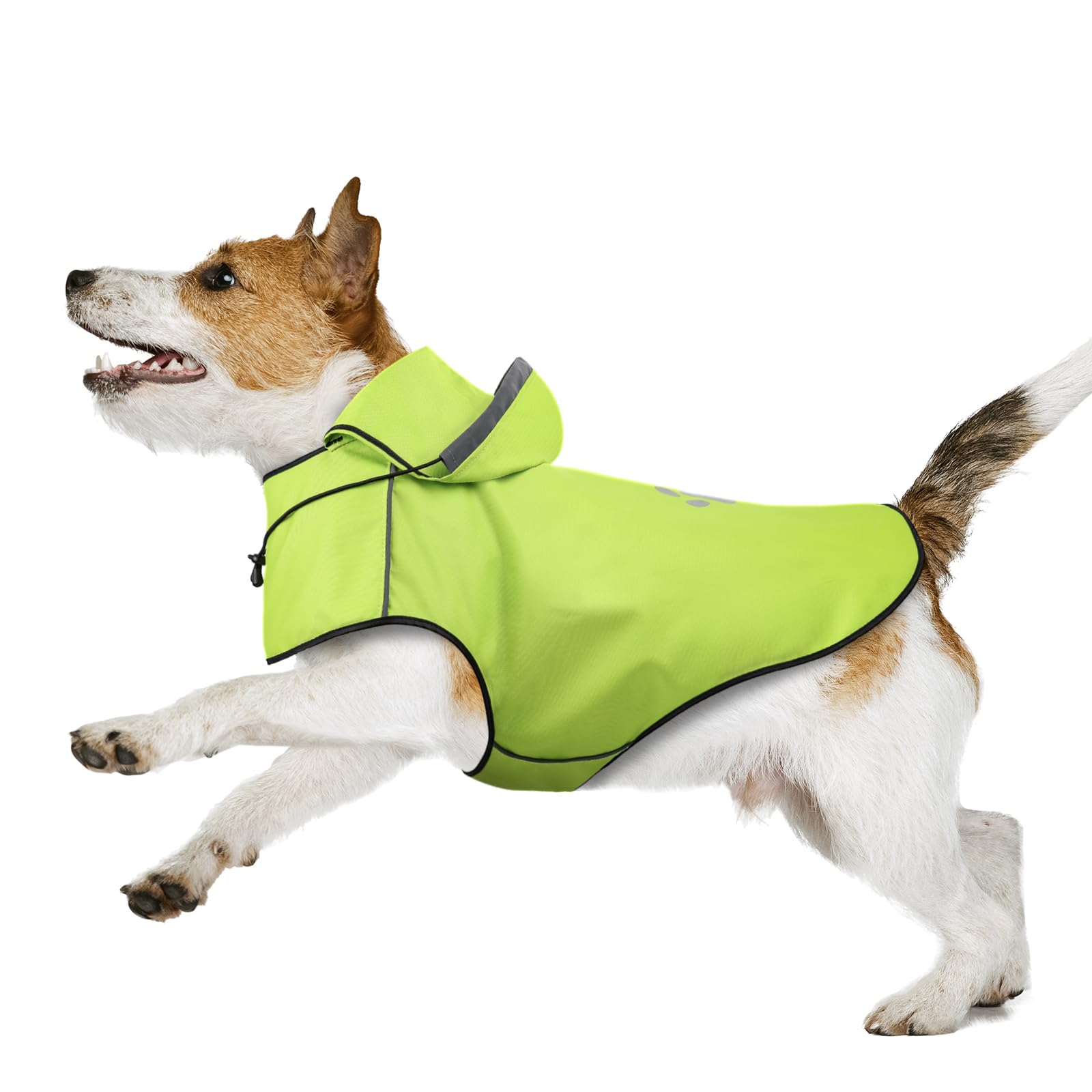 Cappottino Impermeabile Cane Taglia Piccola DQGHQME Impermeabile per Cani, Antipioggia cane con Cappuccio e Foro per Colletto e Strisce Riflettenti protettive, Regolabile Mantella Cane Pioggia- S