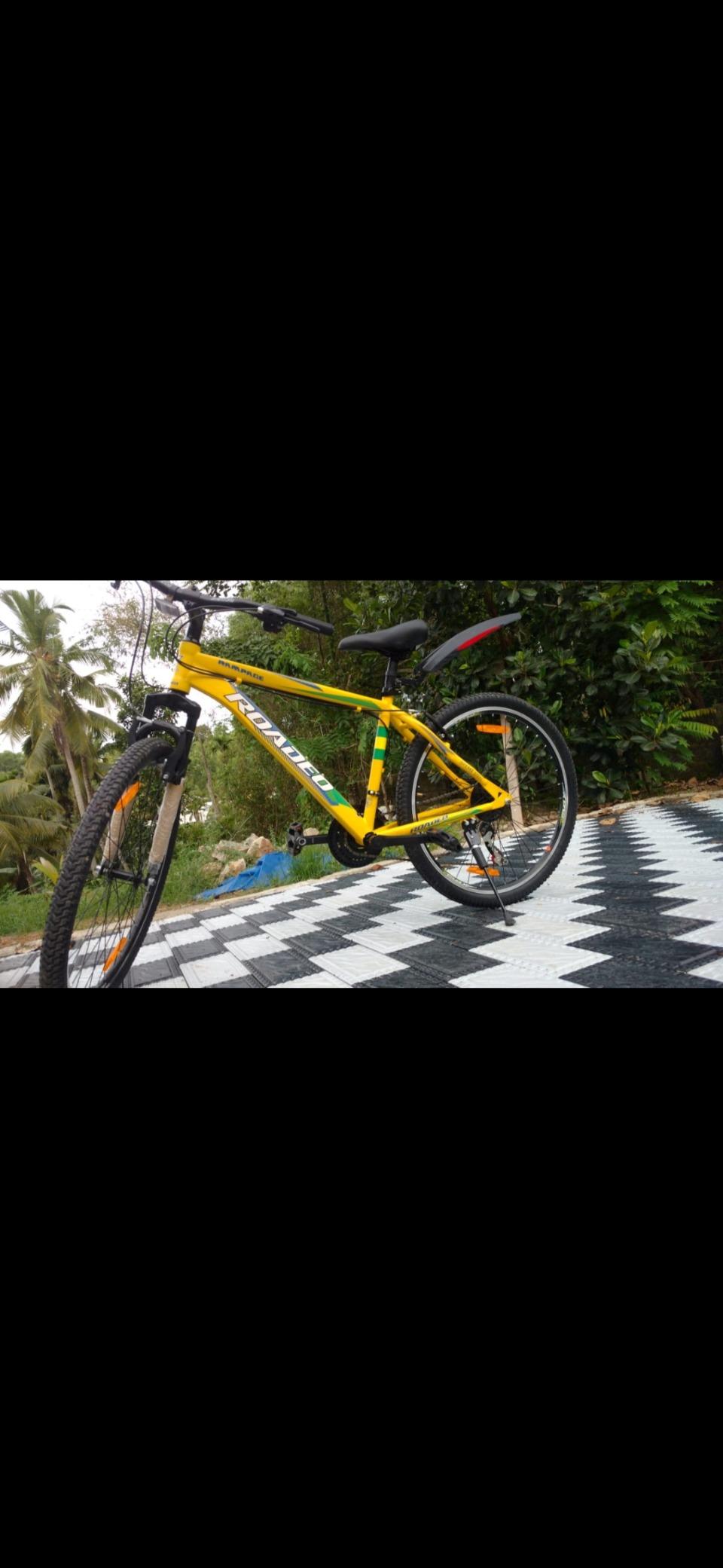 maxxis holy roller clincher