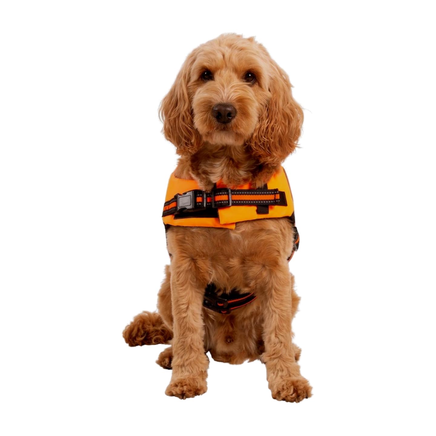 TRESPASS Gilets de Sauvetage pour Chiens SURFDOG - BOUYANCY Aid L