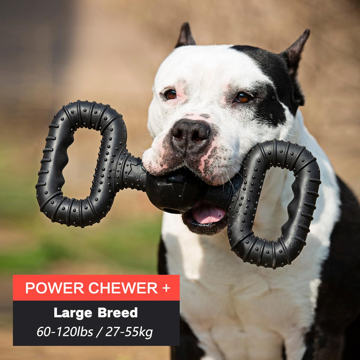 BiteKing Natural Rubber Dog Toys for Large Aggressive Chewers, Lifetime Replacement - Image 3