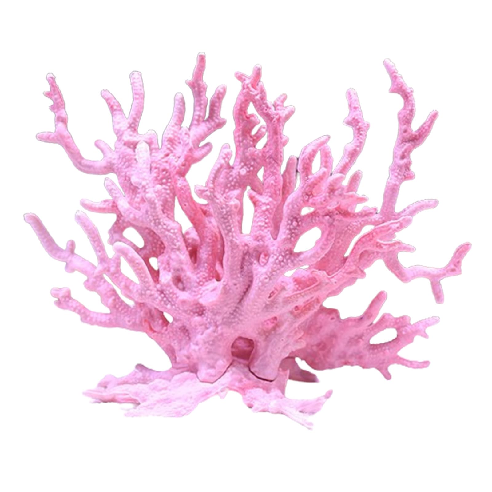 珊瑚 天然 サンゴ アンティーク 置物 珊瑚礁 陶器製獅子像とサンゴの