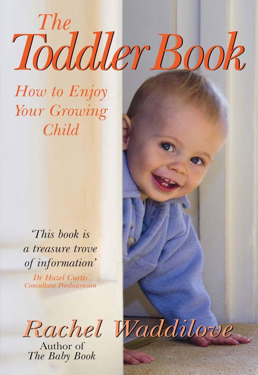 The Toddler Book How to enjoy your growing child eBook