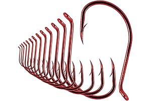 Size 10 Fishing Hooks: Your Gateway to Amplified Catches
