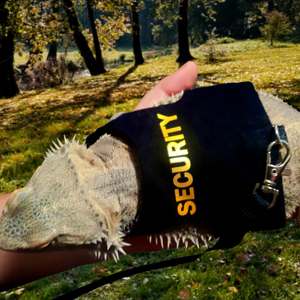 Harnais pour dragons barbus réglable pour reptiles lézards caméléons