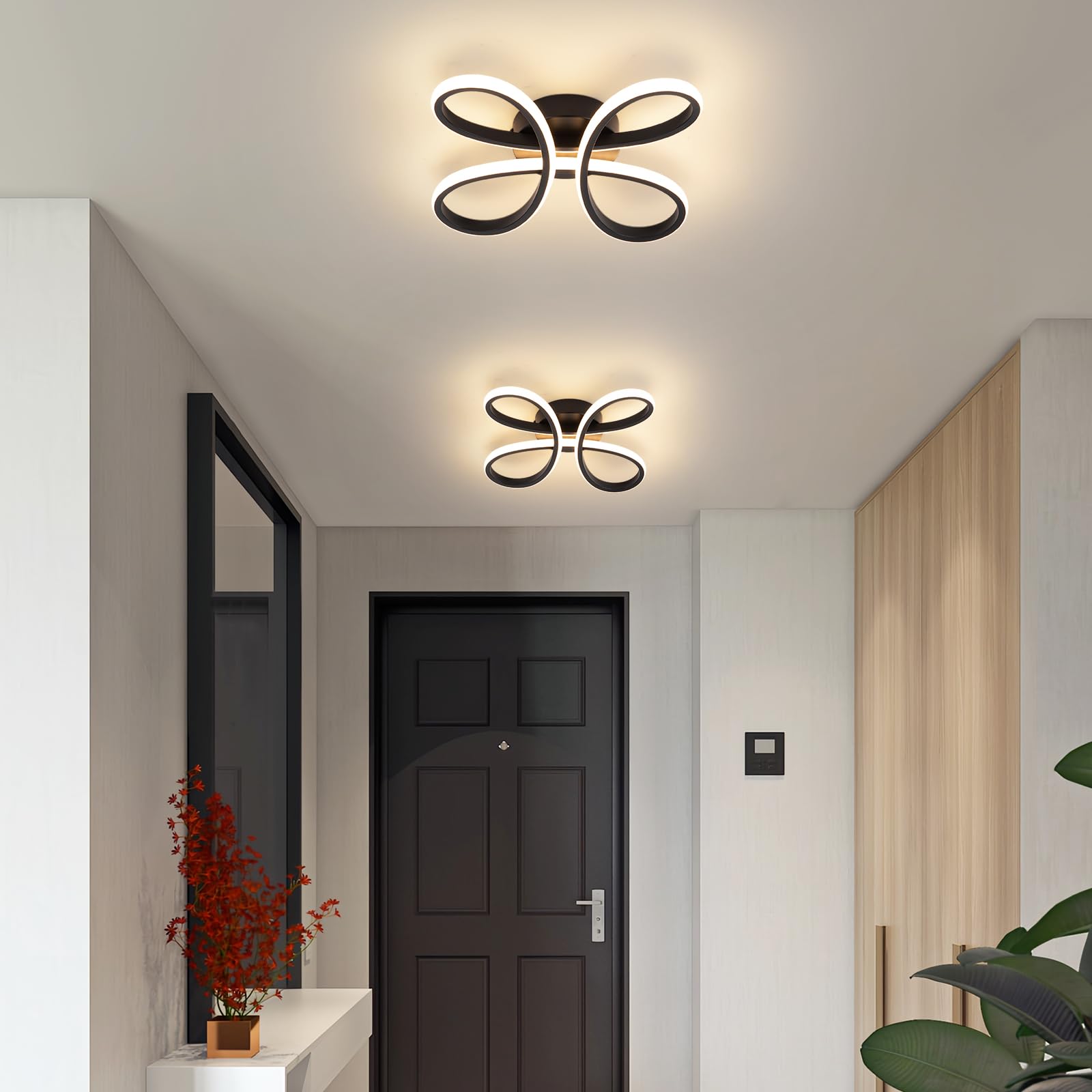 EIDISUNY Modern LED Ceiling Light, 30W Black Ceiling Lights Fixture - Image 3