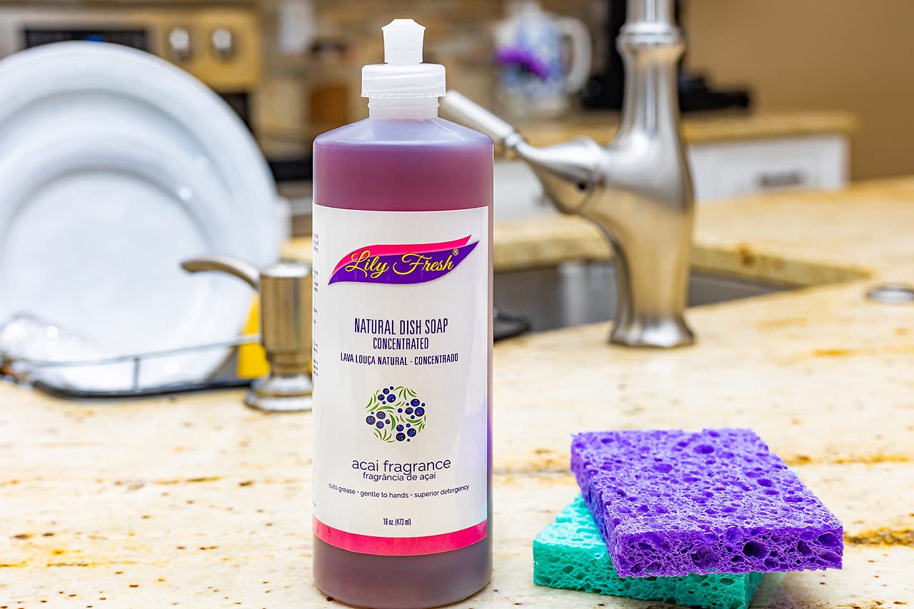 Lily Fresh Natural Dish Soap - 16 oz