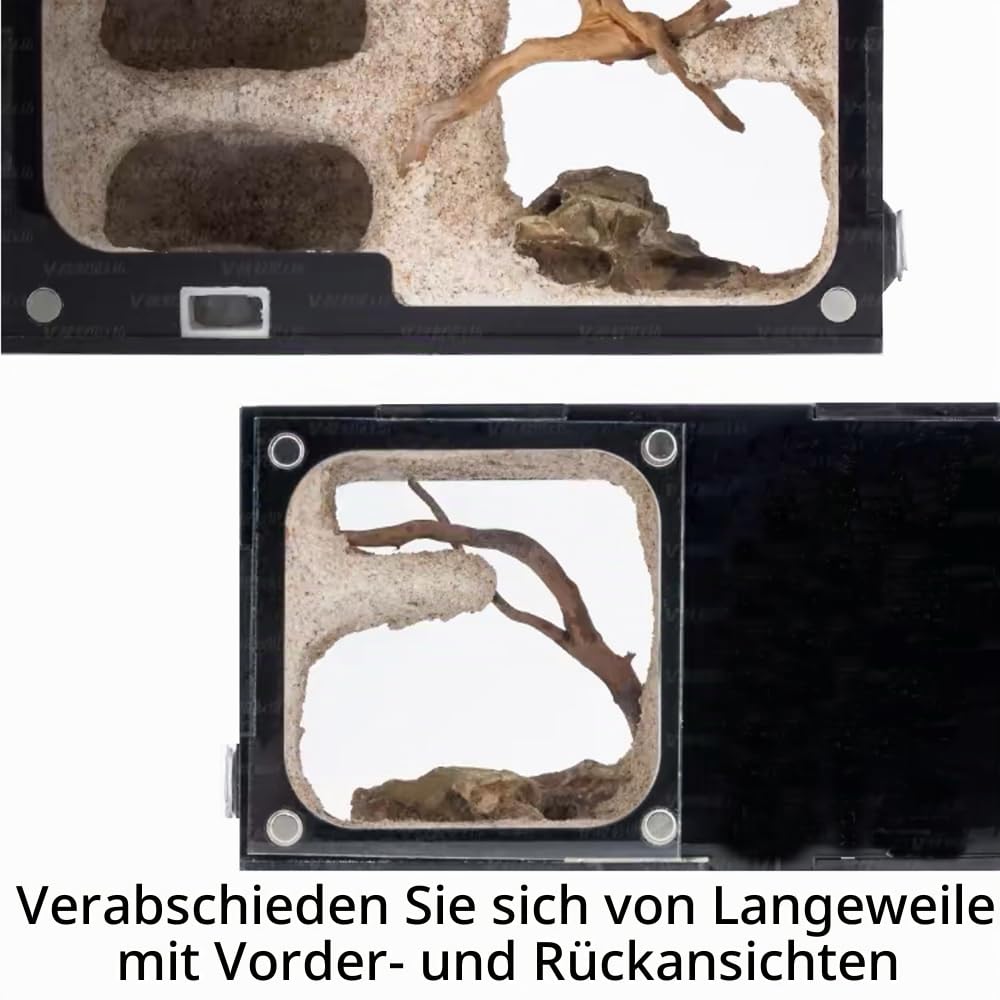 Ameisenfarm Beobachtungsterrarium aus transparentem Acryl mit Aktivitätskammer für Anfänger Ameisenhalter