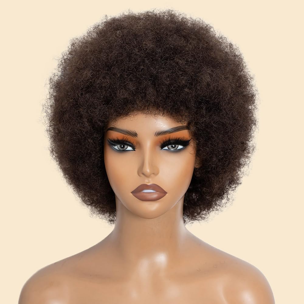 Afro Echthaar Perücke Damen Human Hair Wigs for Black Women Kinky Curly Short Glueless Wig (2, 10 inches)