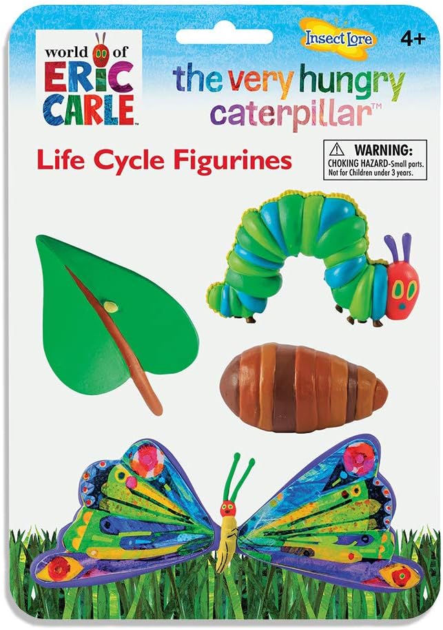The Very Hungry Caterpillar Lifecycle Stages