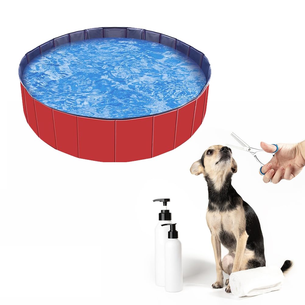 Piscine Chien Petit,50x8cm Piscine pour Animaux,PVC Piscine pour Chien,Bassin de Baignade pour Chats,pour Animaux,Enfants,1 pièce
