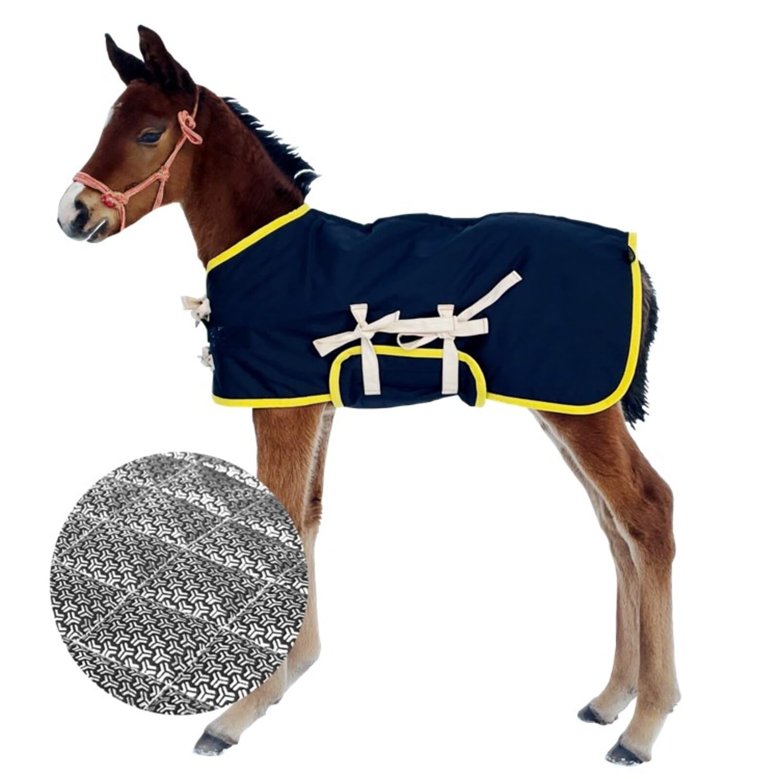 Amazon.co.jp: ライフテースト 当歳用馬服 アルミ Mサイズ 裏面アルミ