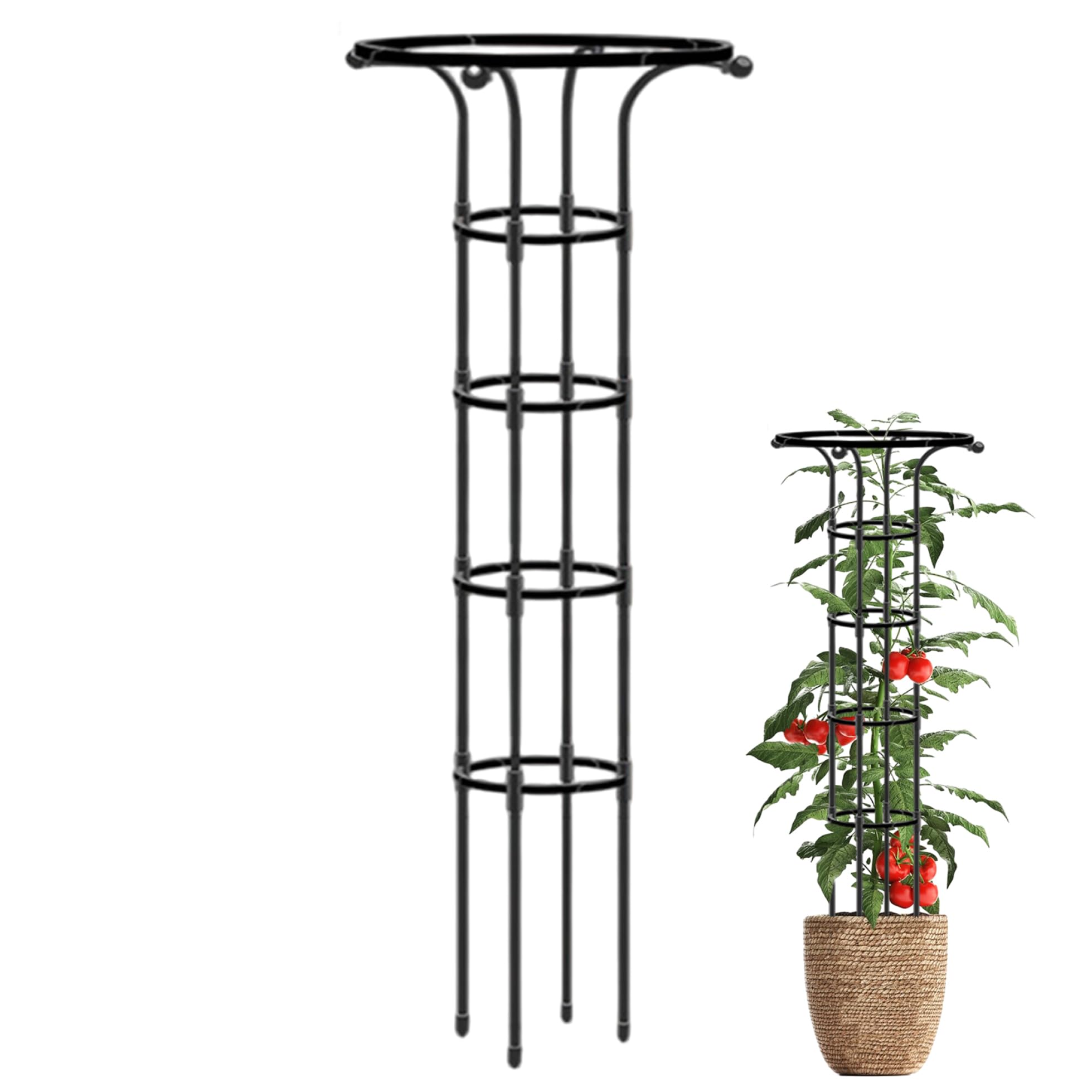 Treillis de roses pour sublimer votre terrasse avec un obélisque de jardin en métal étanche