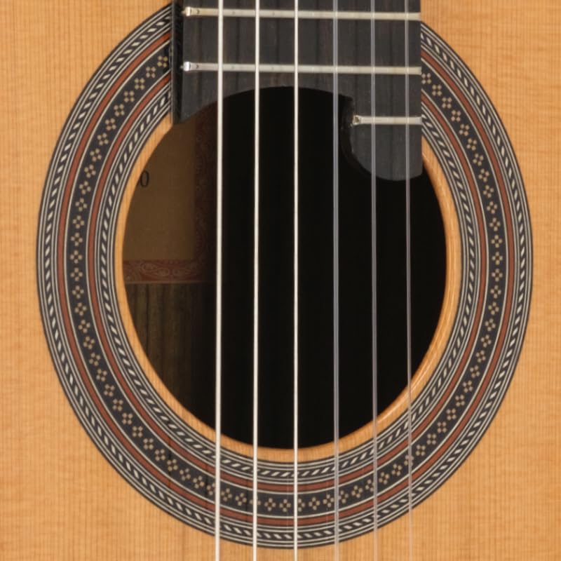 Prodipe 6 corde per chitarra classica (Soloist 900)