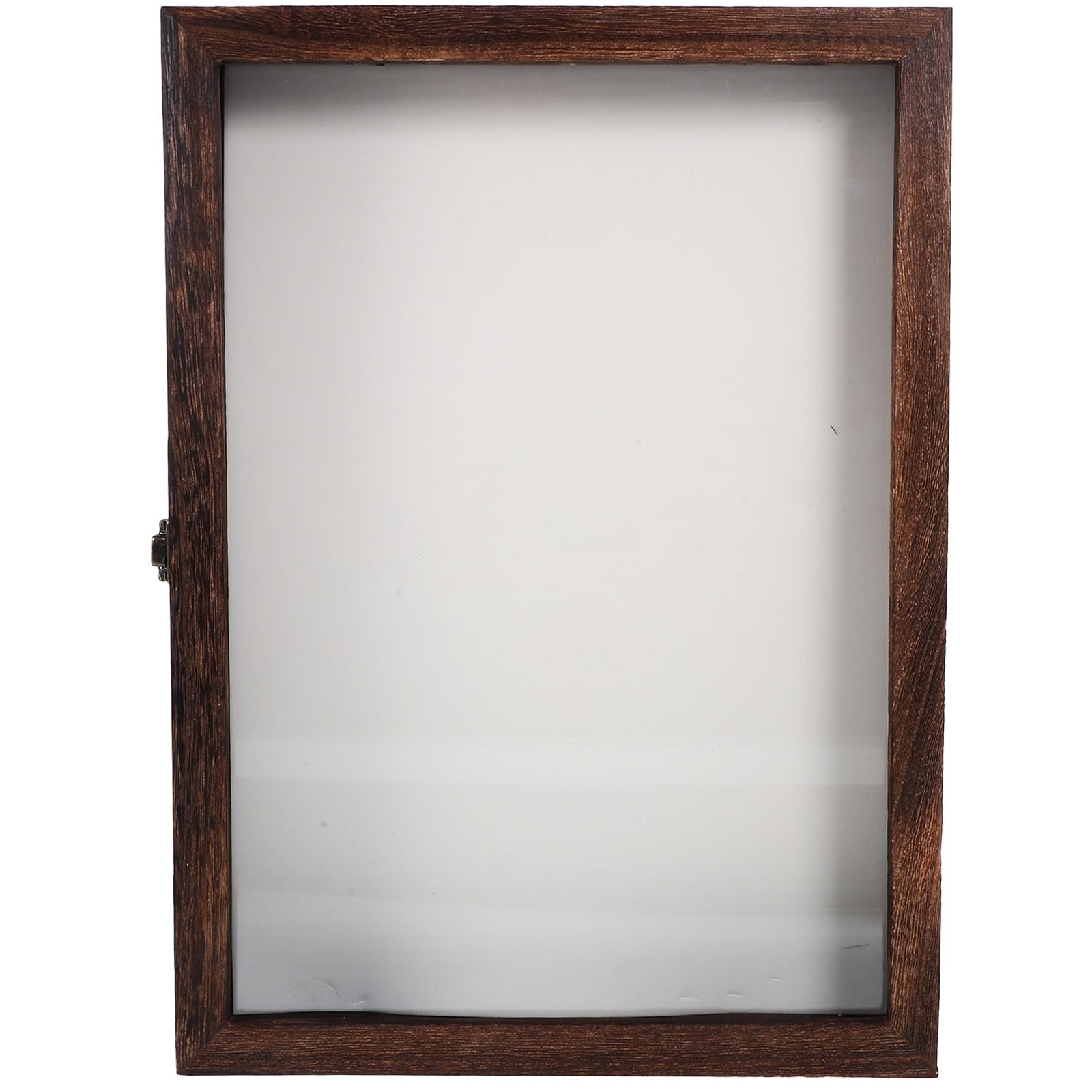 iplusmile Caja de Exhibición de Especímenes con Cerradura, Caja de Madera para Muestras, Vitrina de Insectos, Cubierta Transparente, para Especímenes y Manualidades Varios Estilos