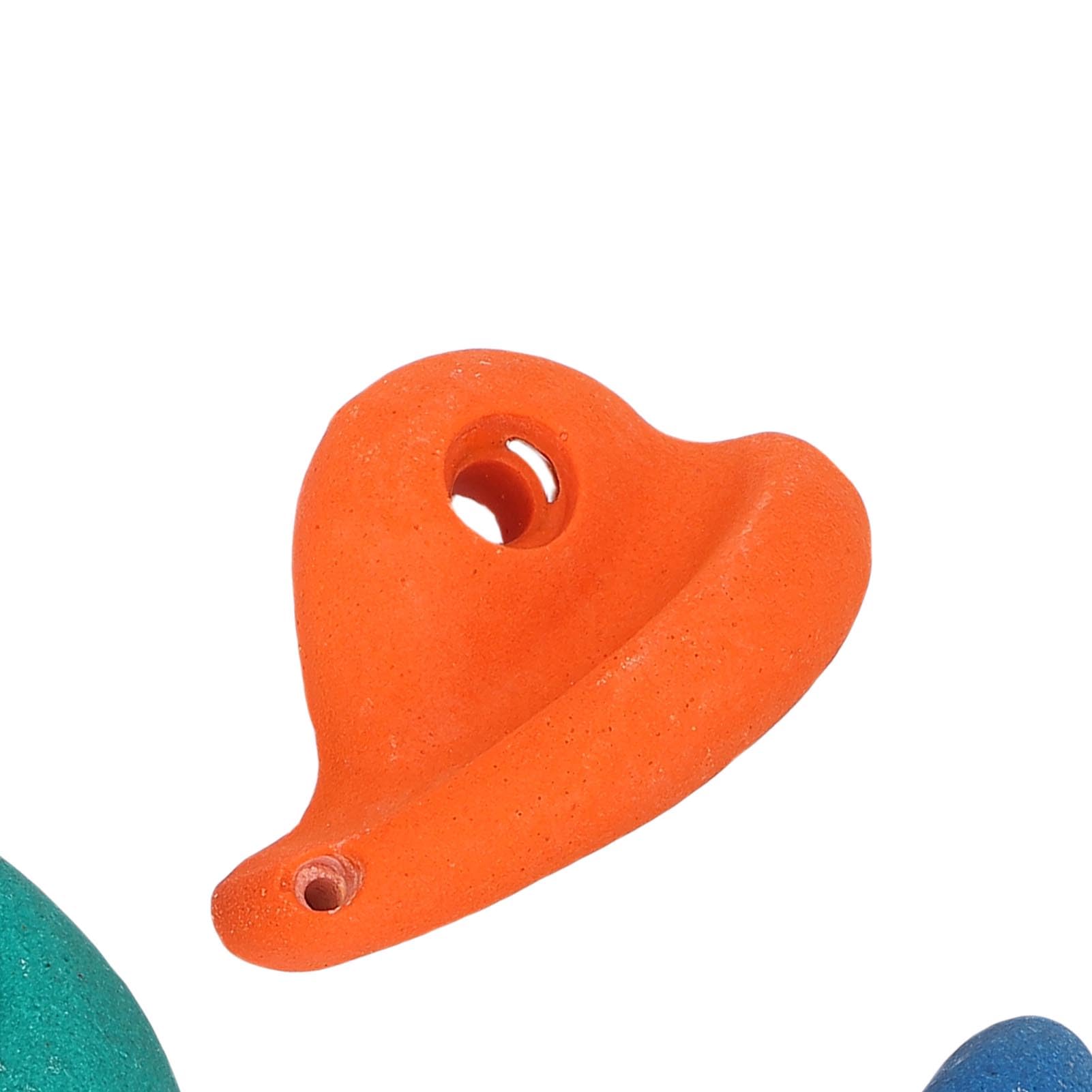 Brrnoo 5 Piezas Presas de Escalada Coloridas para Niños Interior y Exterior