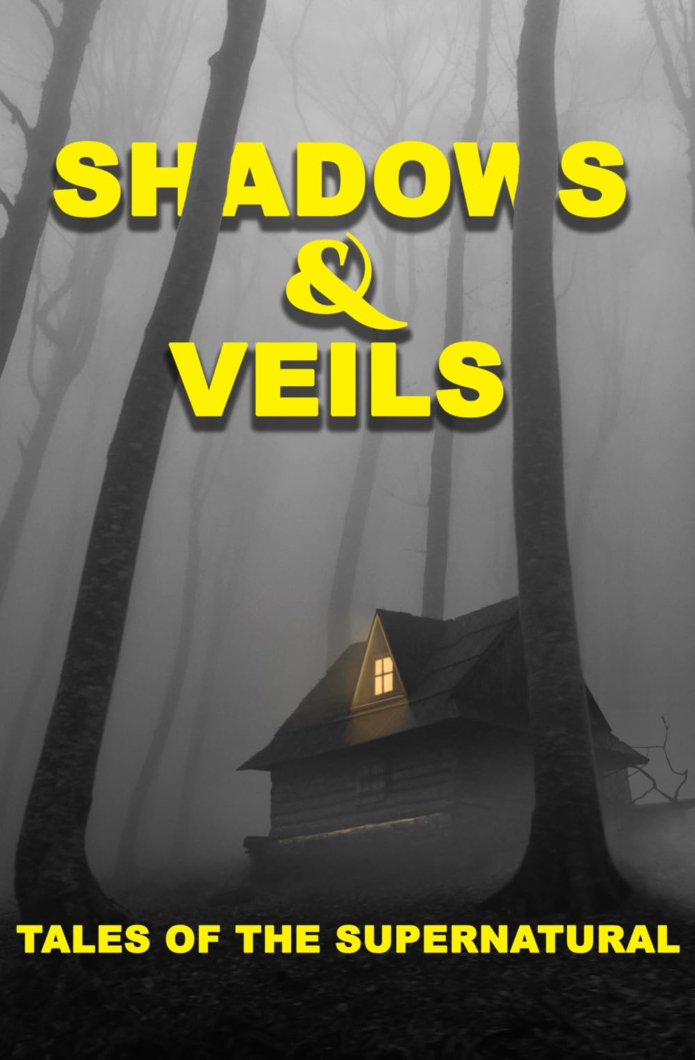 Shadows & Veils