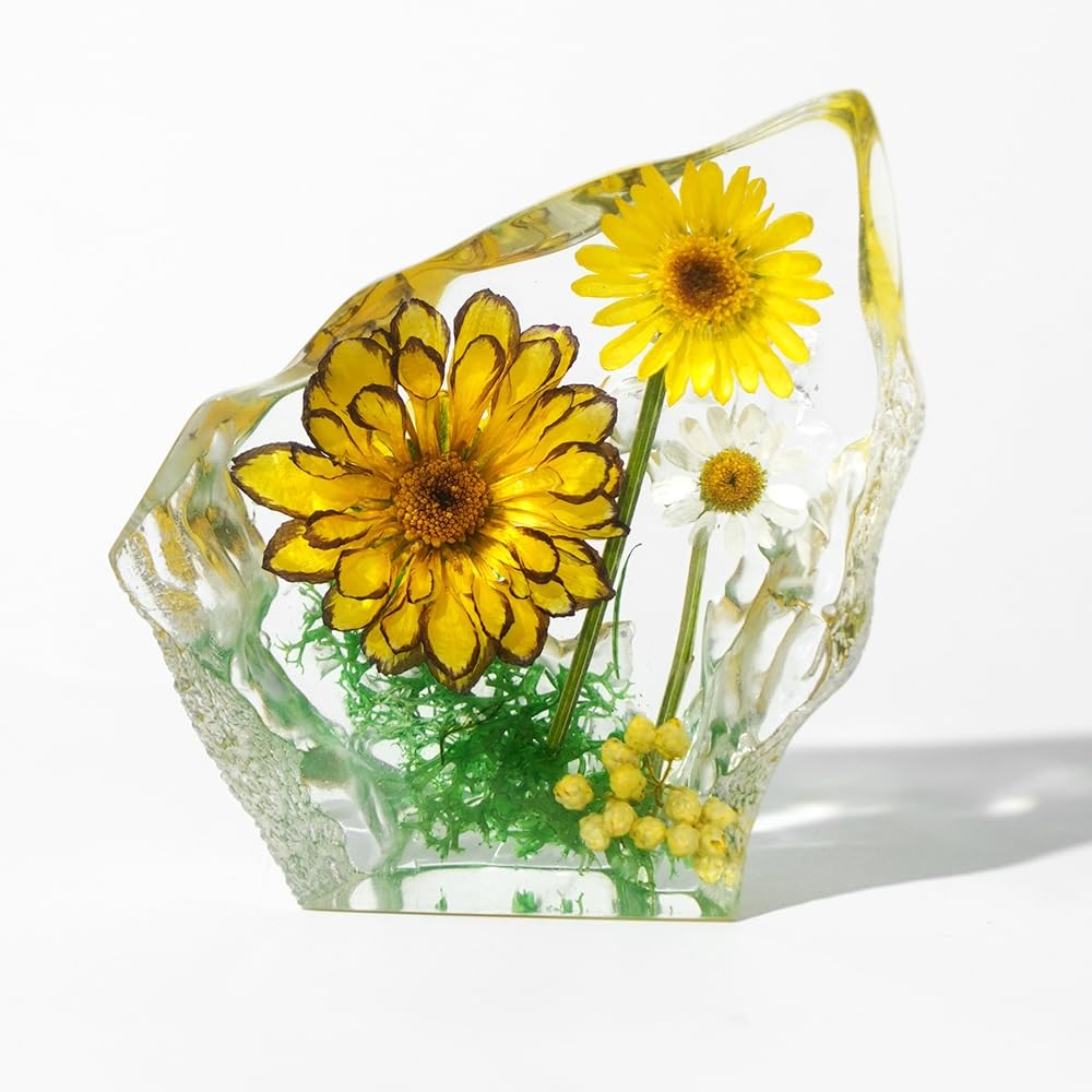 Taxidermy Daisy, Real Flower Specimen in Crystal Clear Resin, Preserved Sample Plant Flower Paperweight for Botany Science Education (Daisy-1PC)