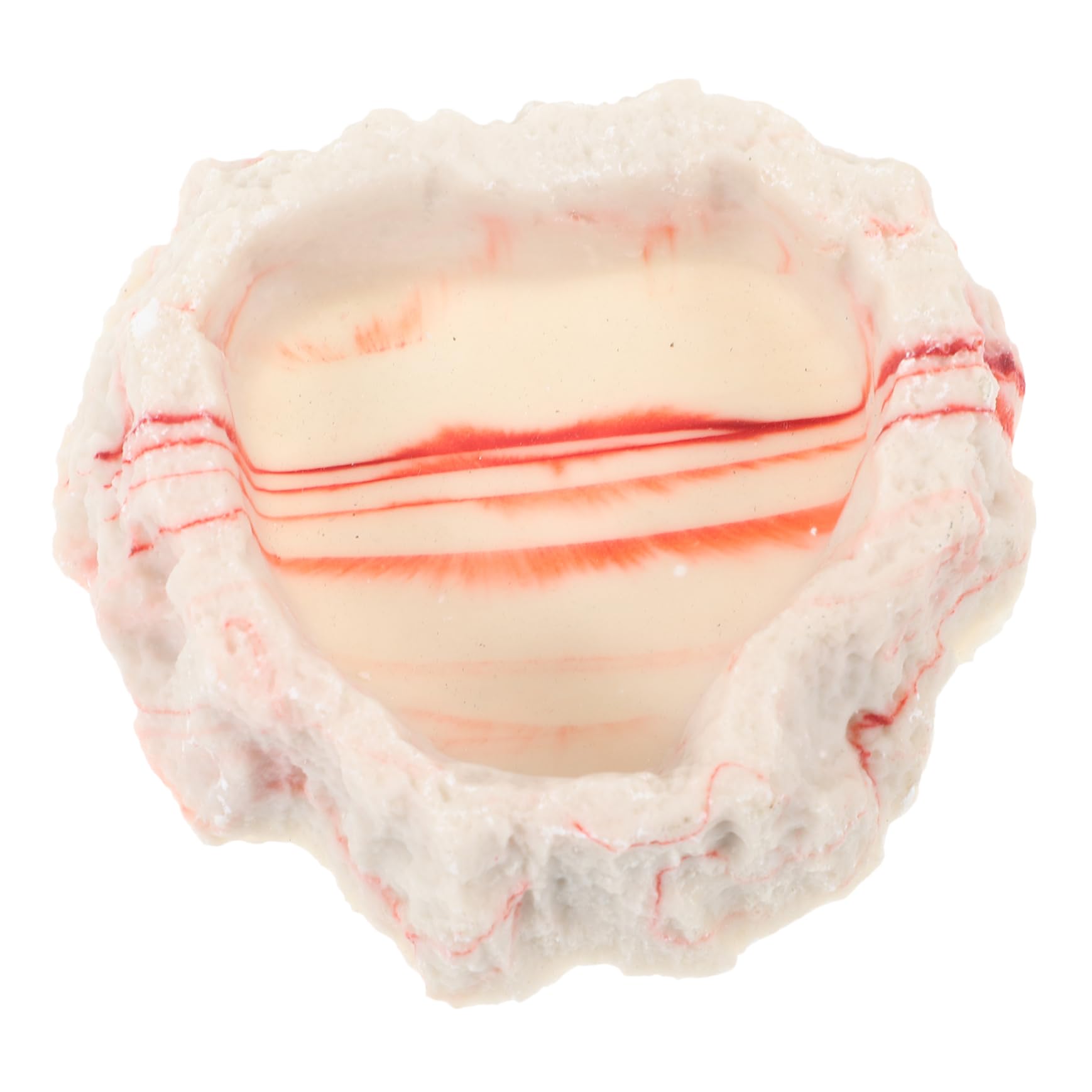 UKCOCO Reptile Bowl Resin Feeding Basin for Bearded Dragon Leopard Gecko Decorative Water Dish for Reptile Habitat Accessories Easy to Clean Lifelike