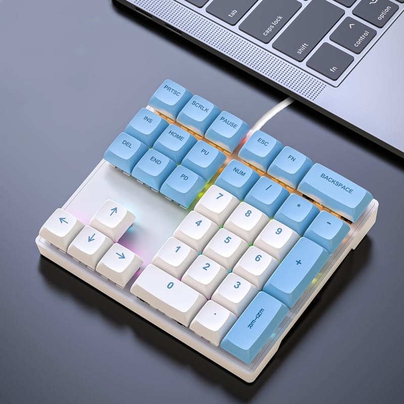 MOSHOUMechanical Numeric Keyboard, 33 Keys RGB Keyboard with 4 Backlights, USB A Wired Numeric Keyboard with Arrow Keys, Numeric Keyboard for Laptop Desktop Computer Laptop (Blue/Cherry mx Blue)