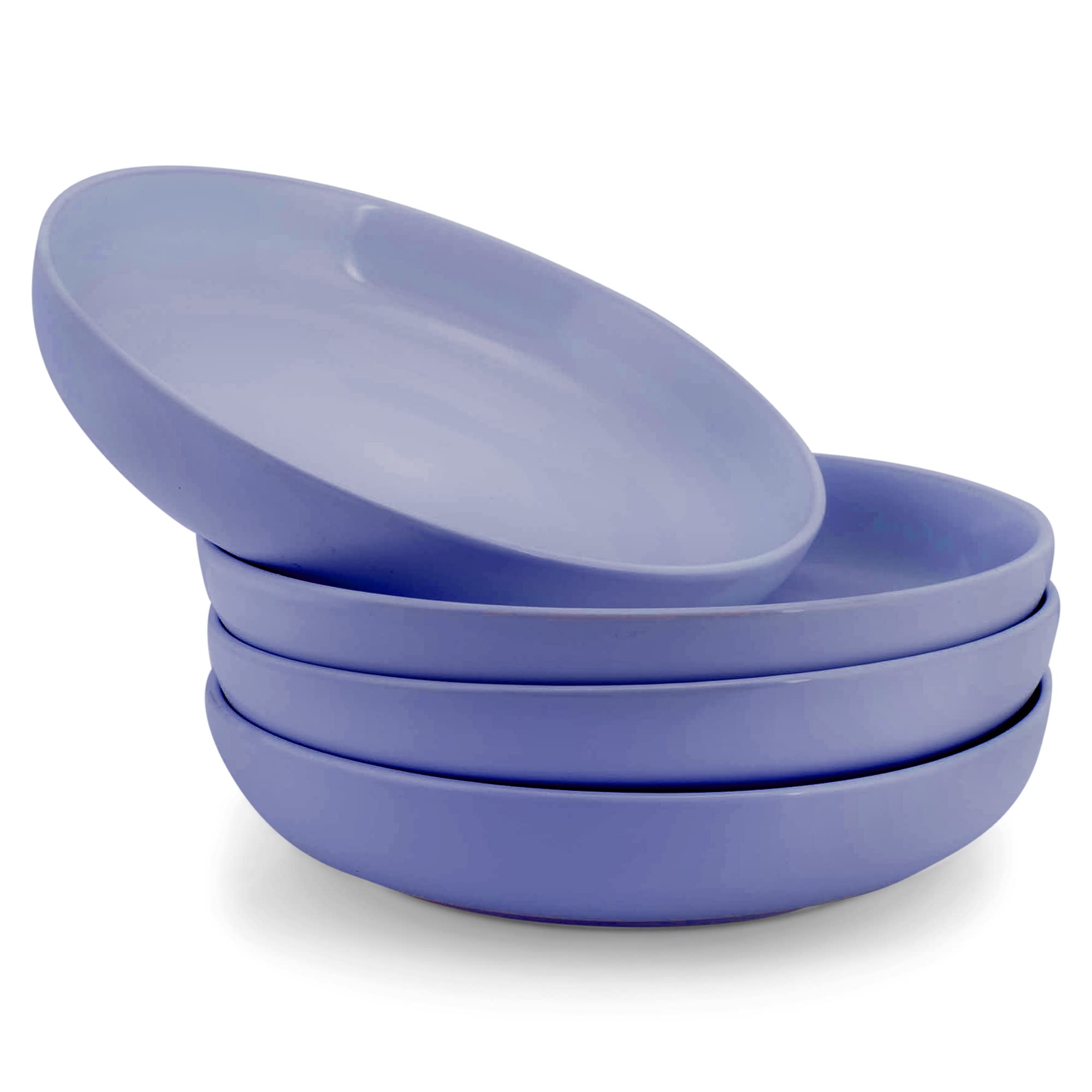 Amazon.com: Elanze Designs Bistro Glossy Ceramic 8.5 inch