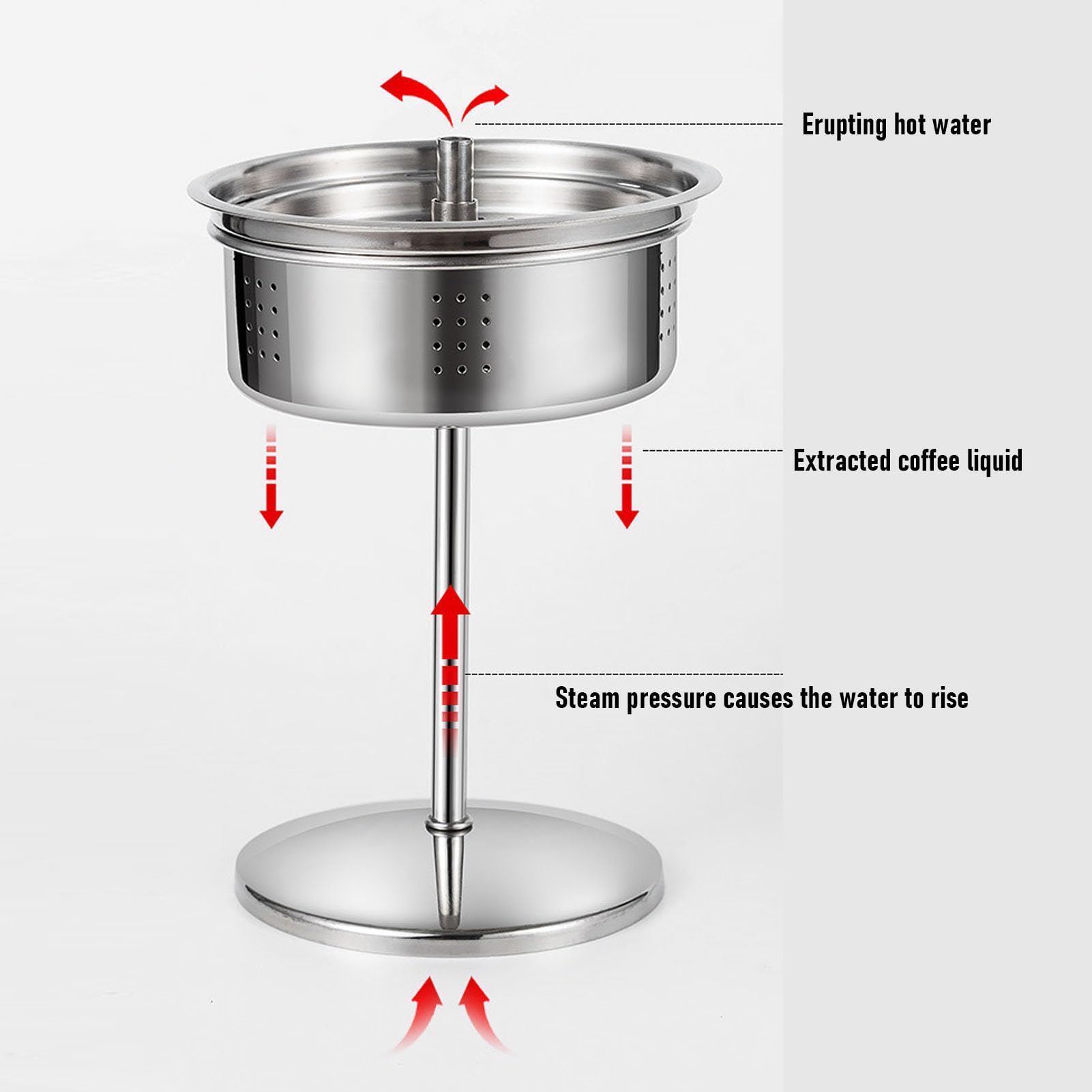 Cafetière Percolateur en Acier Inoxydable 12 Tasses sur Cuisinière, Percolateur Multi-réchaud de Camping, Pot à Cappuccino pour L'extérieur, la Maison, la Randonnée, les Voyages (12 tasses