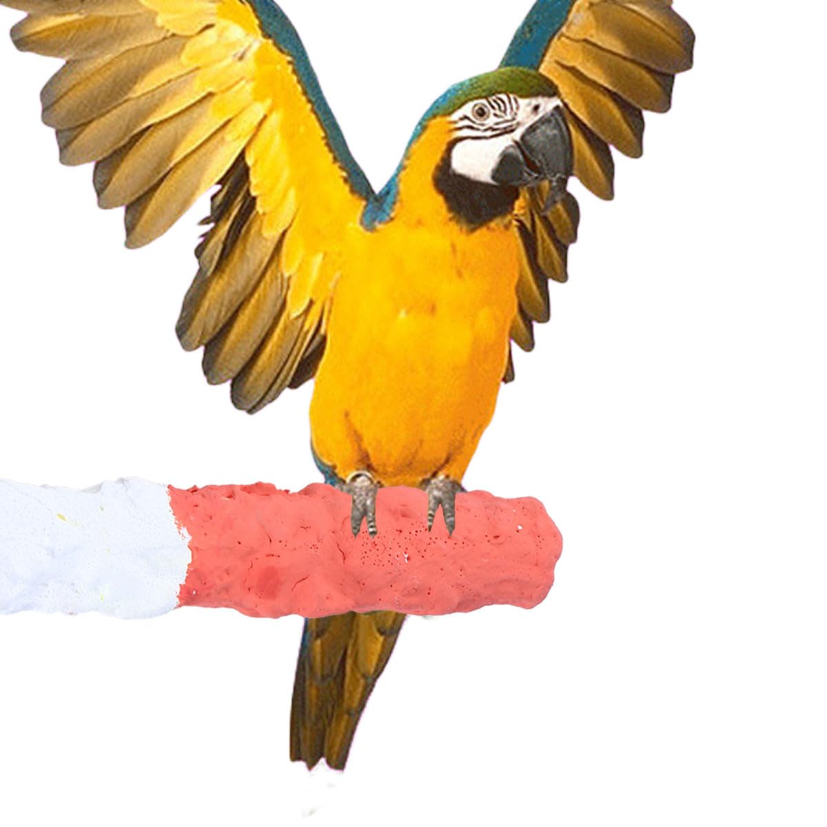 1 pcs Bird Parrot Stand Perches, Cuttlebone Perch Standing Pole Bird Perch, Bird Toys for Parrots- Bird Cage Accessories 1 3