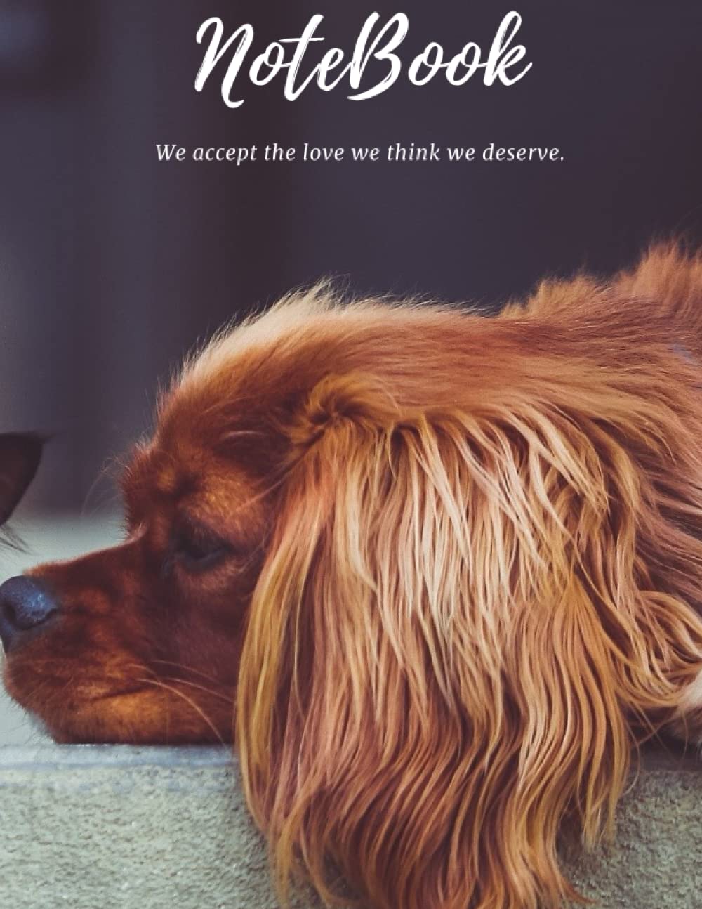 Curious Cat and dog Journal :(Diary, Notebook) cover DOG CAT: pages: 120 size :8.5 11 in cover notebook for cat and dog lover: pages:120.size: 8.5 11 inch.interior type: Black&white.sketchb