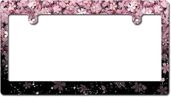 61zMEfROLFL._AC_UF350,