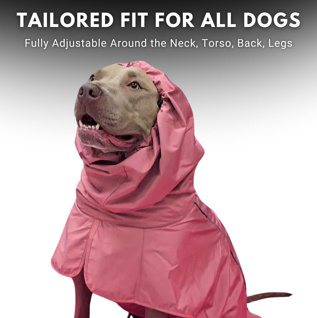 本日限定特価　Dogsled Anorak Insulation Park All-Terrain Duck Insulated Dog Jacket Coat – SPARK PAWS