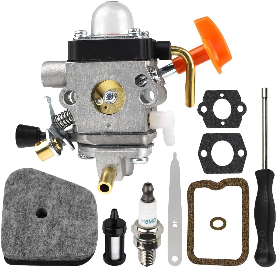 Mowtiler C1QS174 FS90R Carburetor & 41800071005 Valve