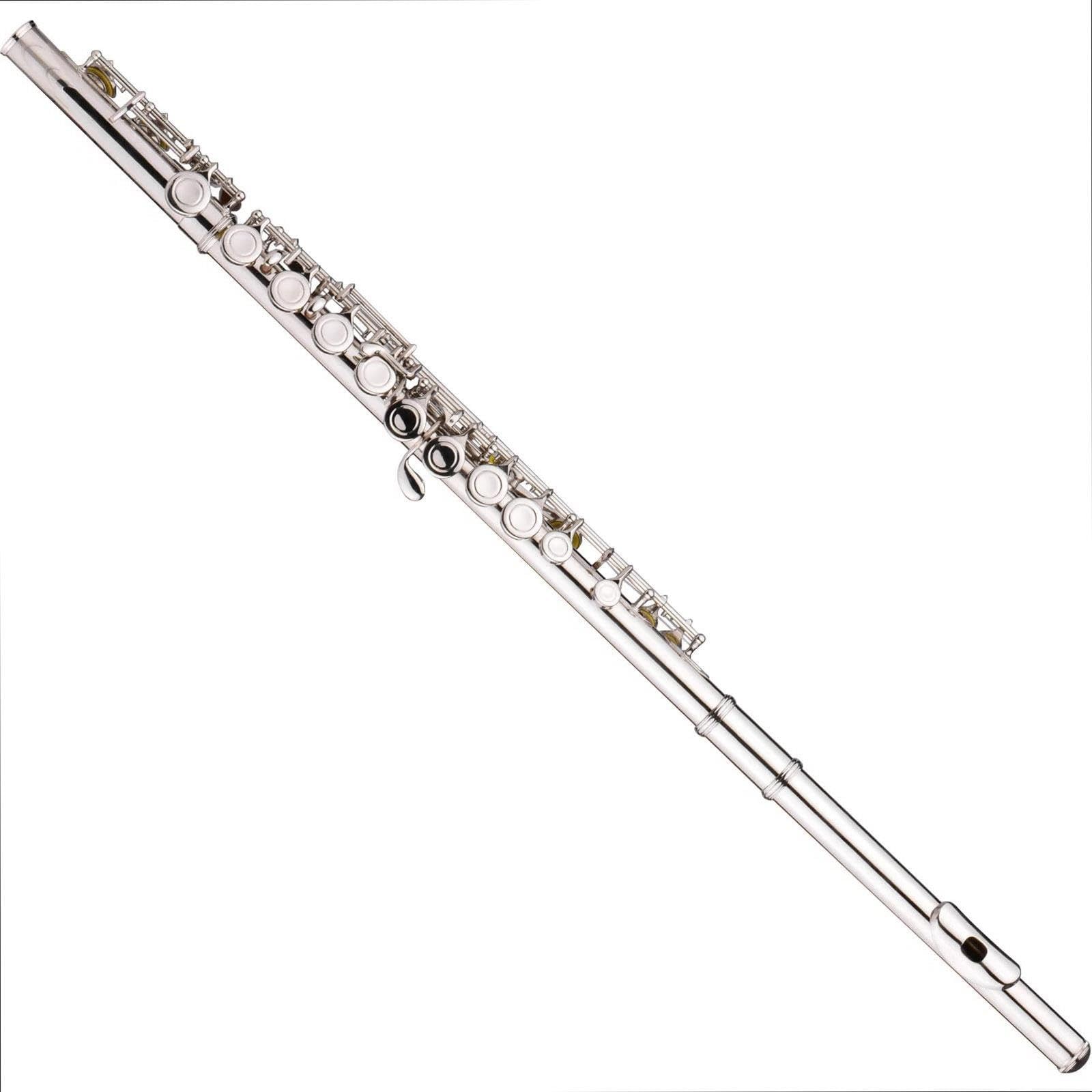 Flute Flauta C de 16 hoyos