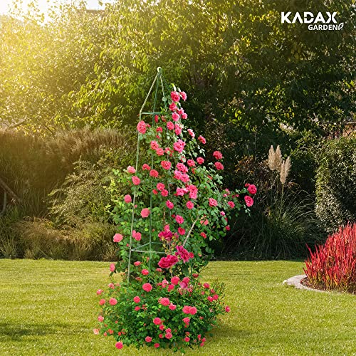 Rosenobelisk Kadax Rankhilfe aus Stahl für Gartenpflanzen