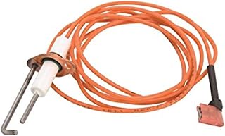 20261709S Ignitor - 594465,