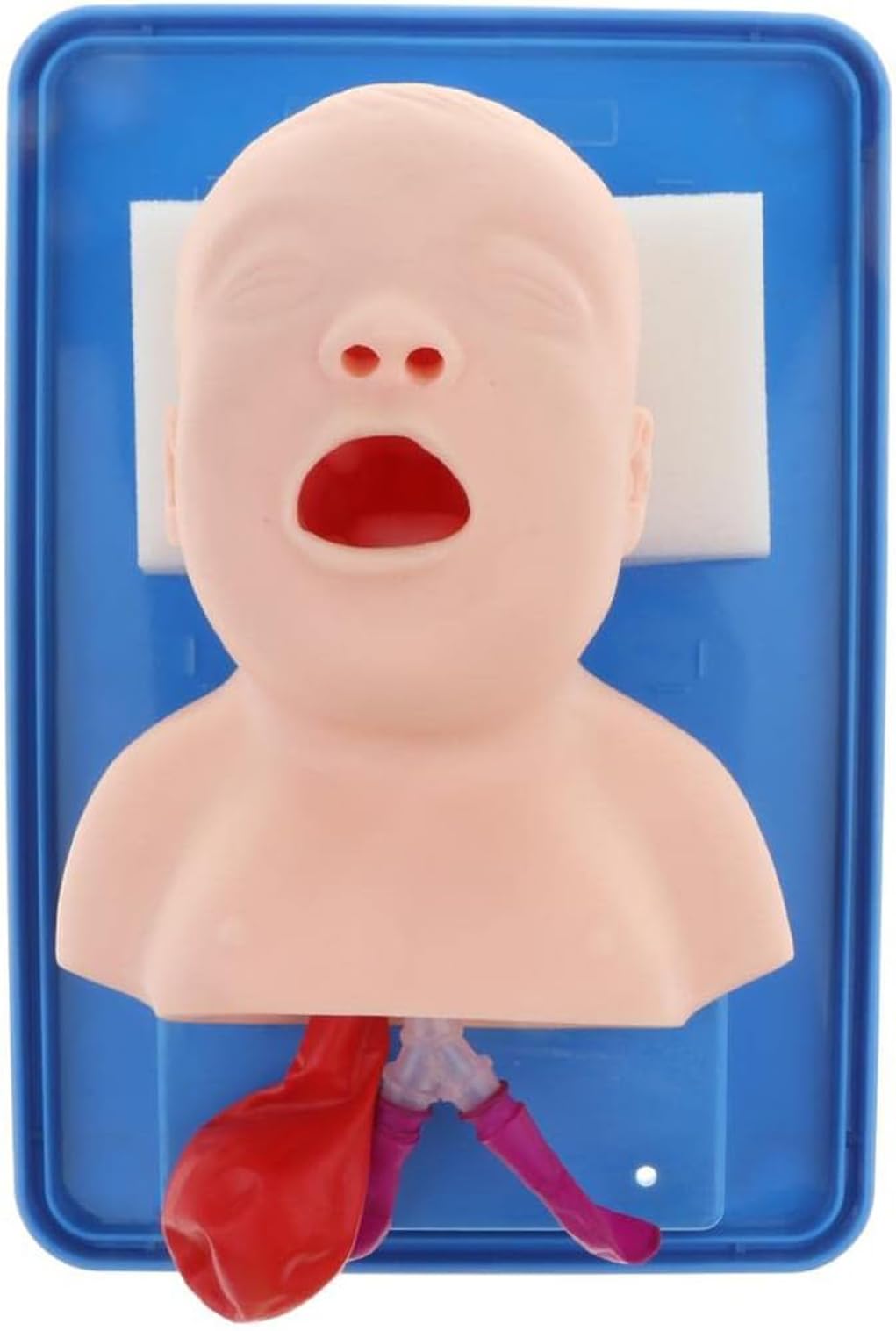Modello di Formazione per L'intubazione Tracheale Bucconasale Neonatale Anatomica Manichini per Intubazione Manichino Pediatrica Infantile Simulatore Intubazione delle Vie Aeree Infantili
