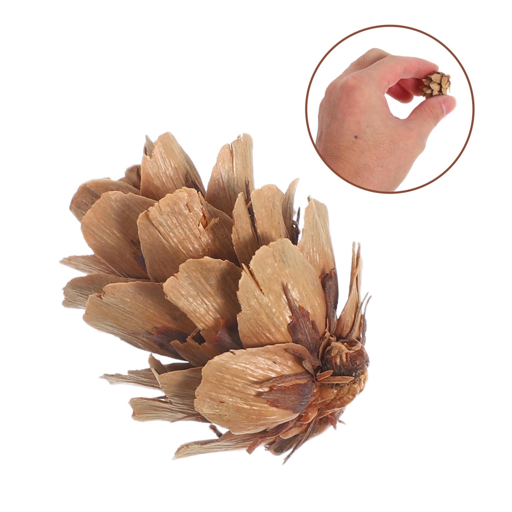 Kleine Tannenzapfen für Weihnachtsdeko Naturmaterial zum Basteln Tischdekoration und Vase Festive Ornaments für Christbaum und Wohnzimmer