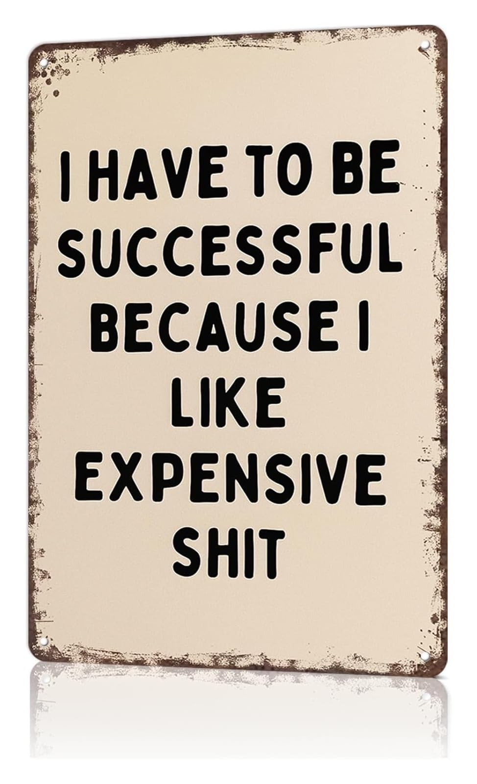 EXTOAOIK Quirky Vintage Sign I Chase Success For Top Items Antique Tin Art For Hallway Entryway Wall 8 X 12 inch