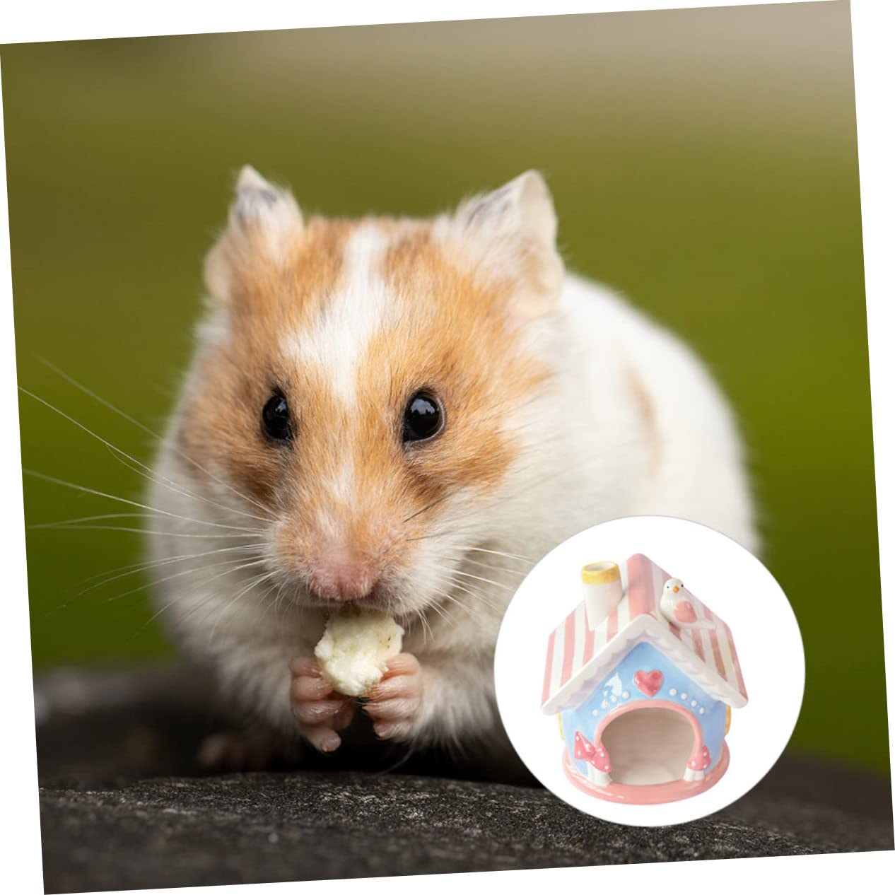 Milisten Keramik Hamsternest Kleines Haustierversteck Robust Leicht zu Reinigen Tragbares Keramiknest für Zwerghamster Chinchilla und Kleintiere Rosa