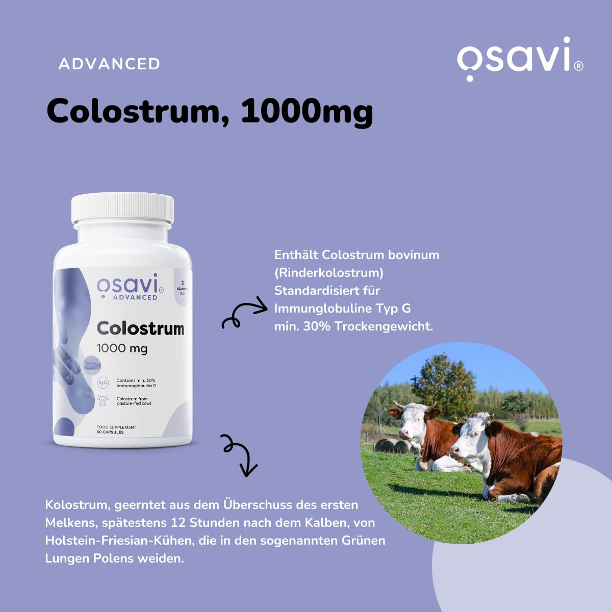 Osavi Colostrum 1000 mg – 180 Kapseln | Hochpotentes Bovine Kolostrum mit 30% Immunoglobulinen G | Herkunft von Holstein-Friesian Kühen | GMO-frei