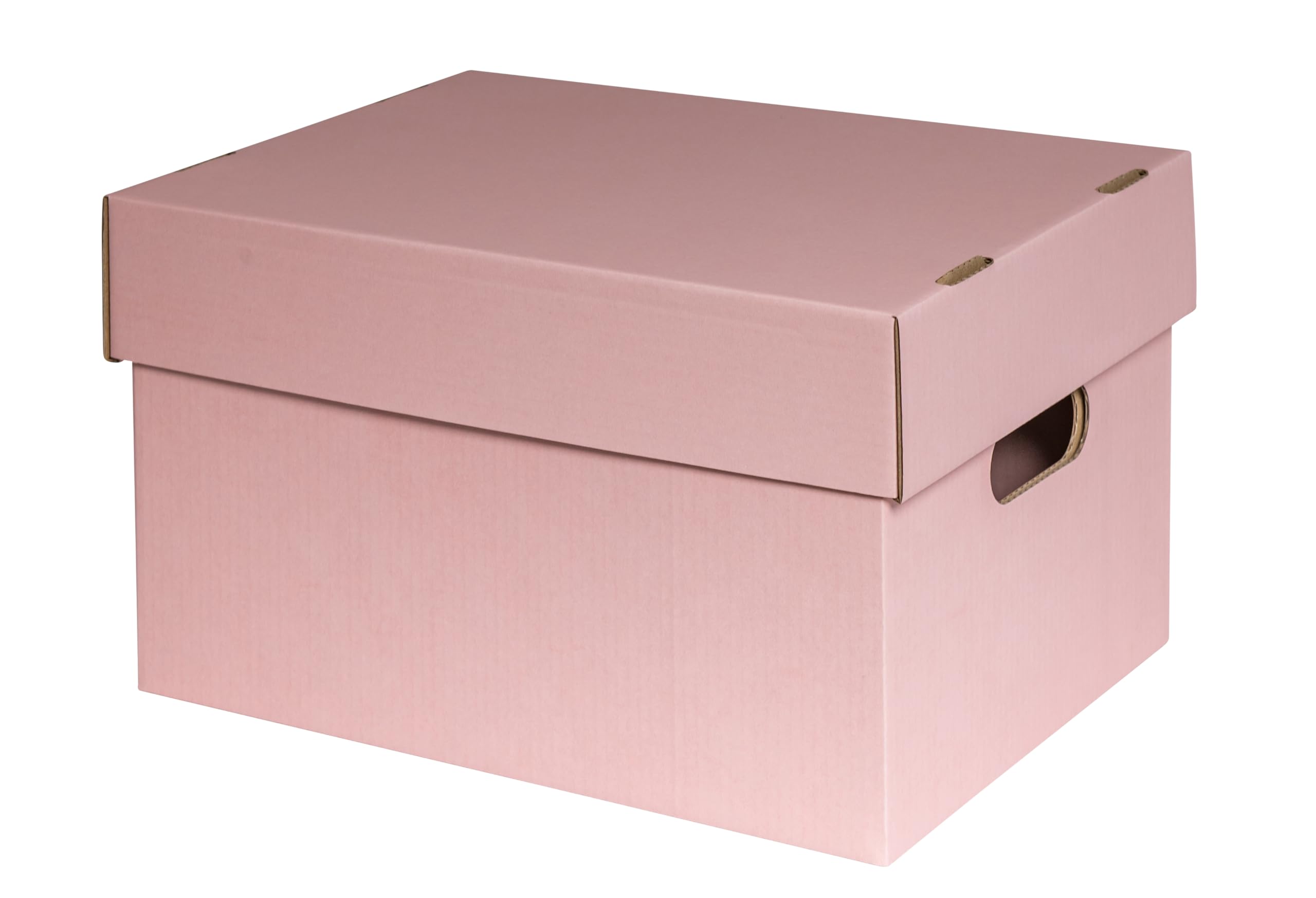 karton-billiger Scatola portaoggetti con coperchio, in cartone, 100% recyling, rosa, 2 misure (12, M - 34 x 25 x 20,5 cm)
