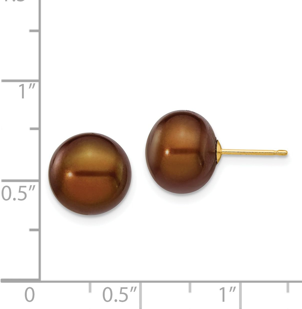 Chocolate Brown Freshwater Cultured Button Pearl Post Earrings in Real 14k Yellow Gold
