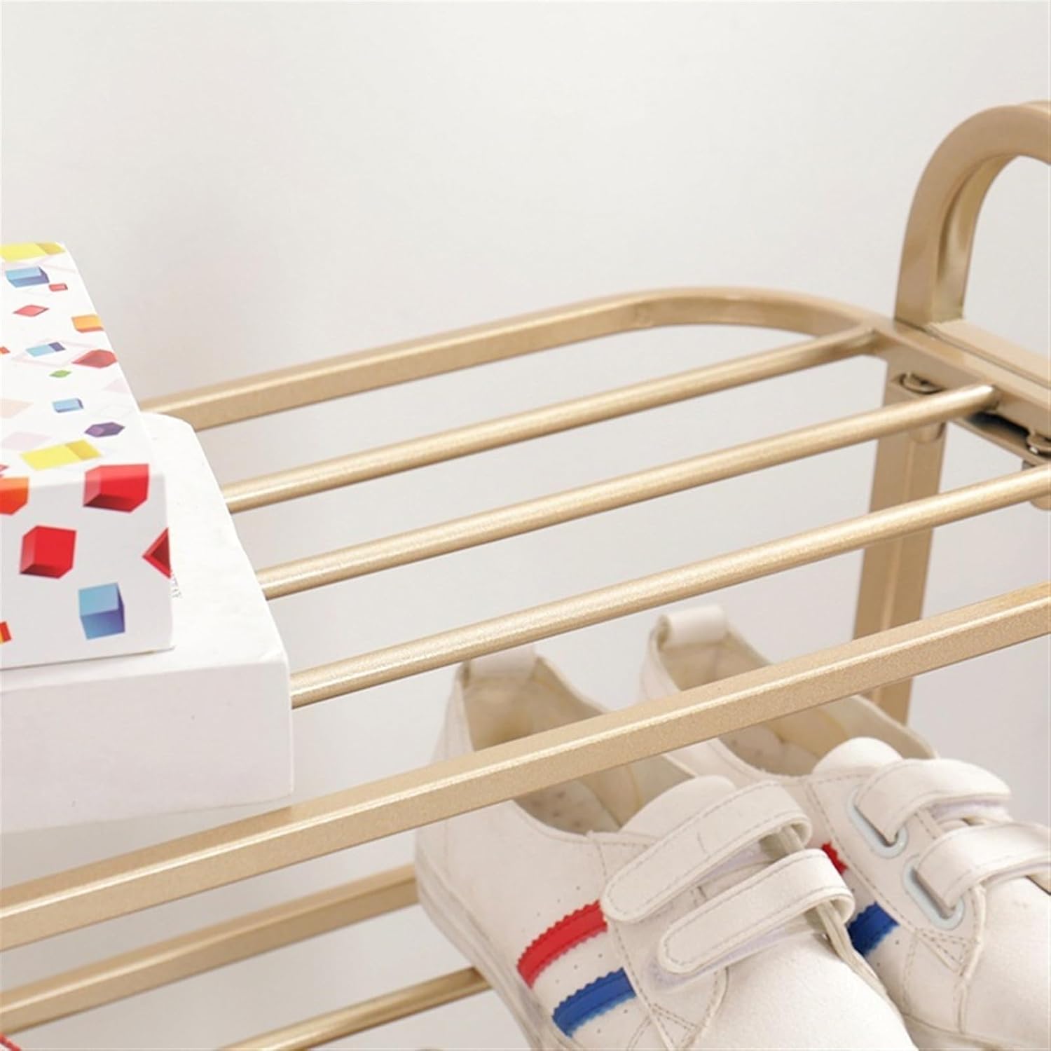 激レア株❗️ピンキー群生❗️ まだ増えそう　いや増える❗️ アガベ 激レア株 ピンキー群生❗️ 7頭 まだ増えそう アガベ アガベ