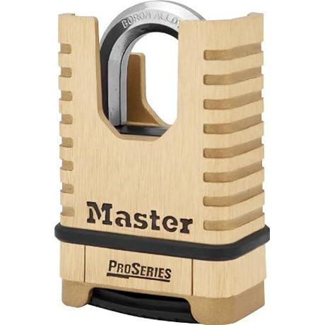 Master Lock ProSeries Freeze Proof Padlock for Gates