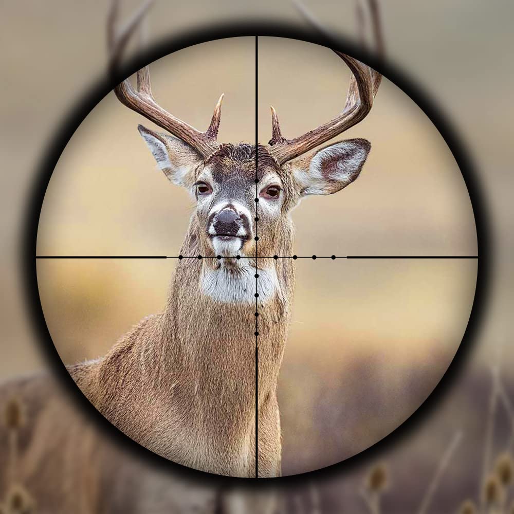 Spina Optics BT 2.8-10x40 Lunette de visée de Fusil de Chasse mil Dot 30mm Tube