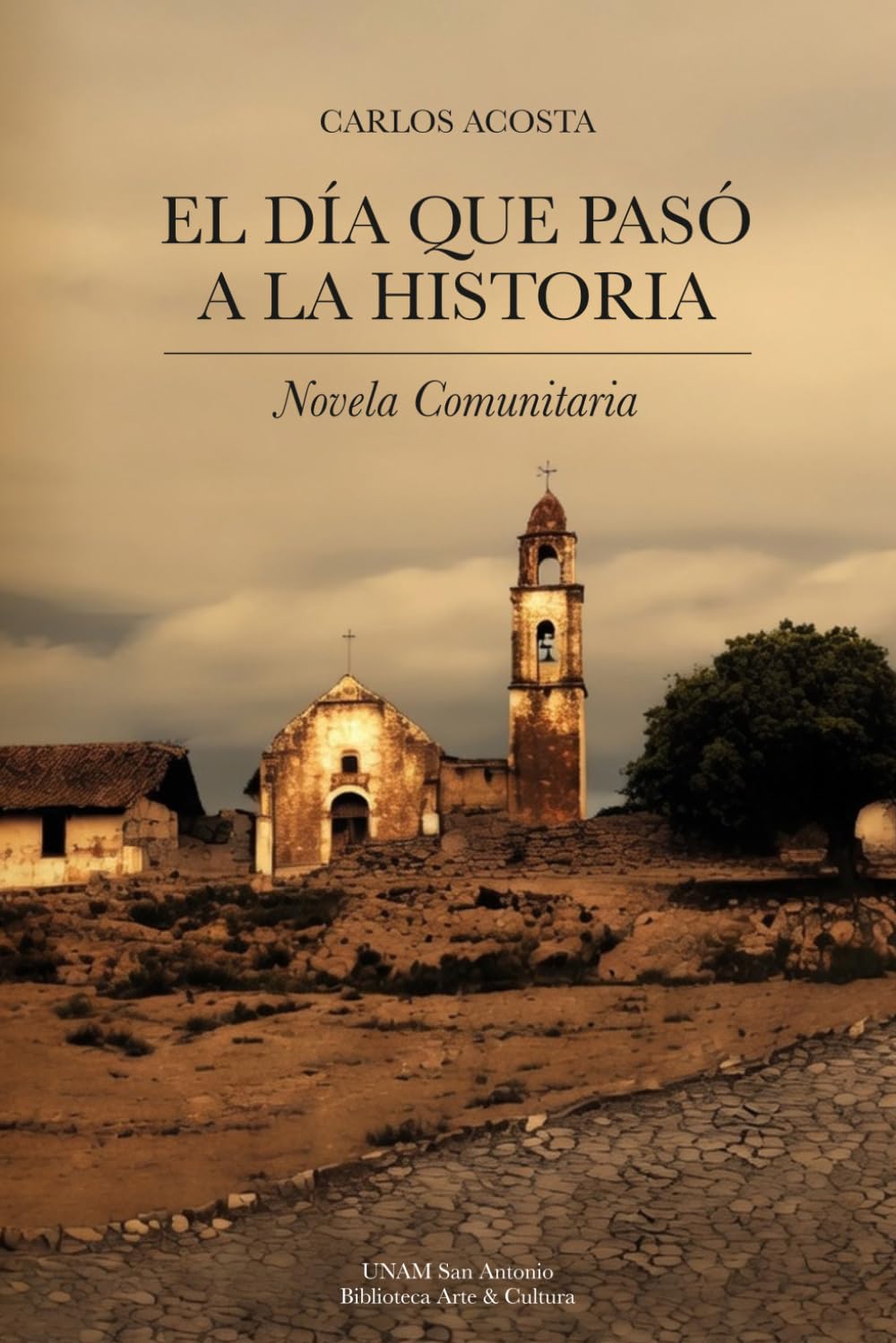 El día que pasó a la historia: Novela comunitaria