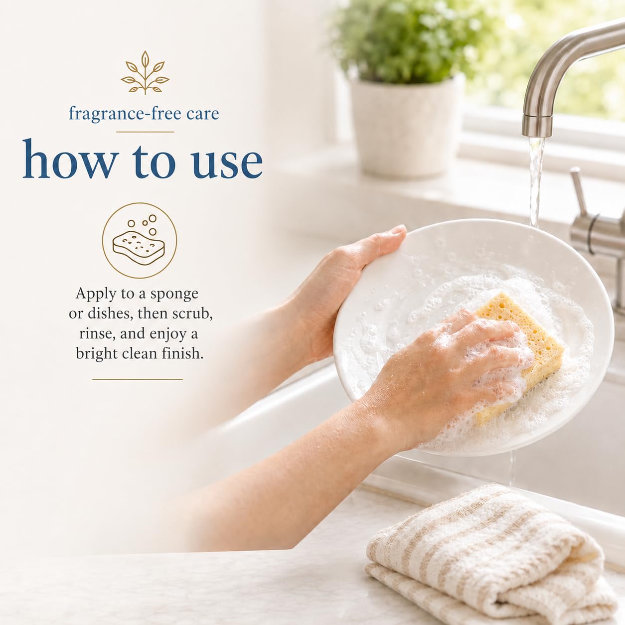 Ginger Lily Farms Botanicals Sapone liquido a base vegetale, formula concentrata con il massimo potere di pulizia dei grassi, senza sperimentazione su animali, senza profumo, ricarica da 1 gallone