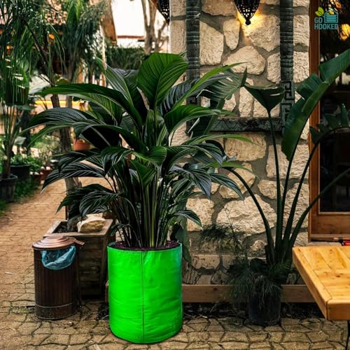 Image of Go Hooked Grow Bags for Gardening Vegetables Herbs & Flowers (Set of 5) Planter Bags for Home Balcony Terrace & Outdoor Farming (12 Inch, 250gsm) Heavy Duty Reusable Gallon Grow Bags (Round)