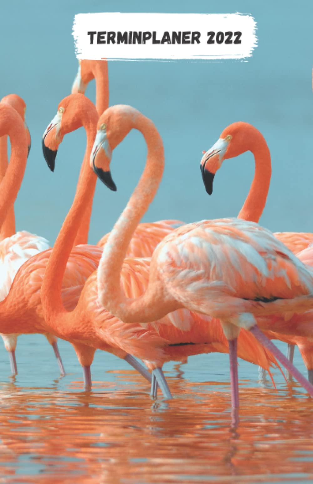 Terminplaner 2022: Terminkalender mit Uhrzeiten (5-20 Uhr), 1 Woche 2 Seiten, A5 Tagesplaner mit Zeit, Flamingo