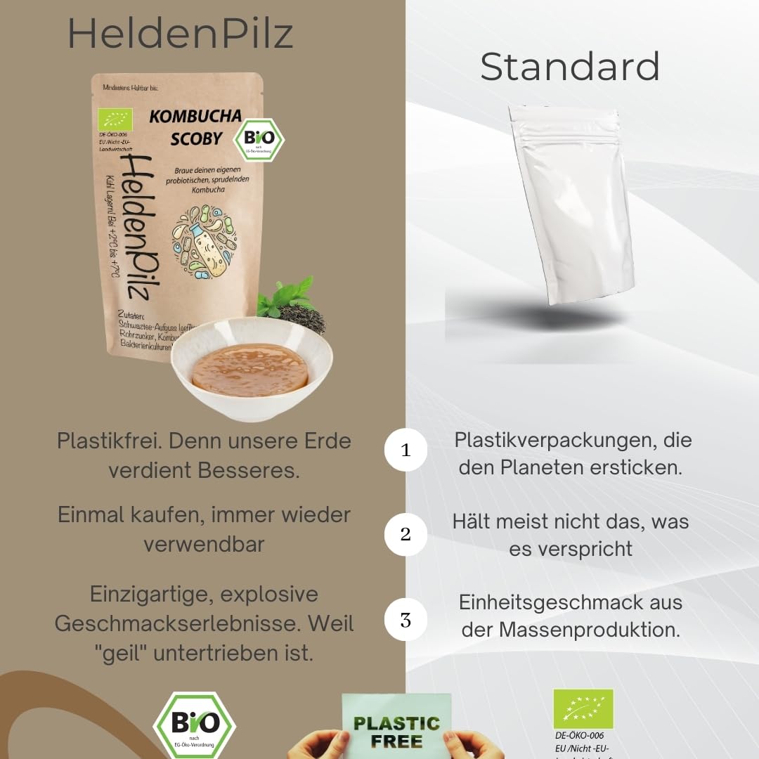 HeldenPilz Kombucha - Scoby vital y potente con líquido de raíz | Para 6 l de kombucha | Garantía de éxito, 100% natural, duradero