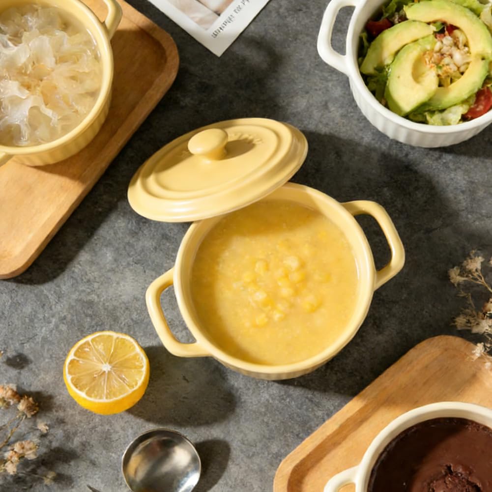 Mini cocotte con coperchio, pirofila in ceramica con manici e coperchio, stampini rotondi con coperchio per lasagne, soufflé, crème brûlée, dessert, per microonde e forno (Bianco, L-400ml-1pc)